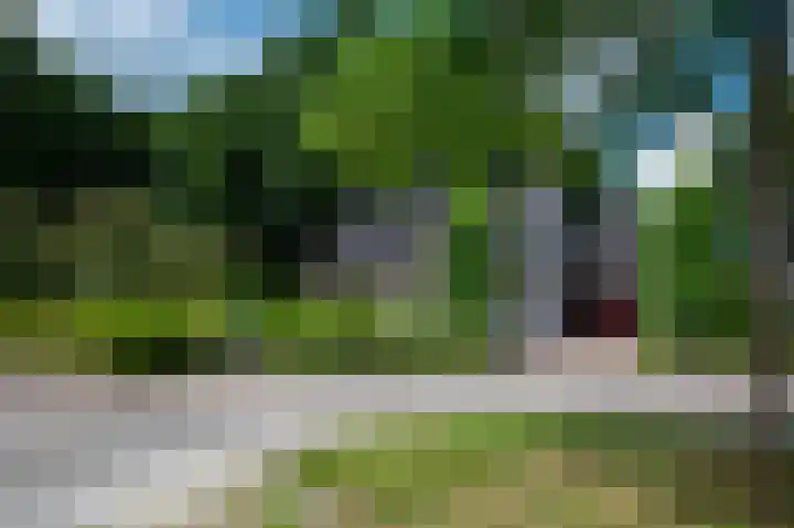 Bosland 17 Haren Gn thumbnail 9