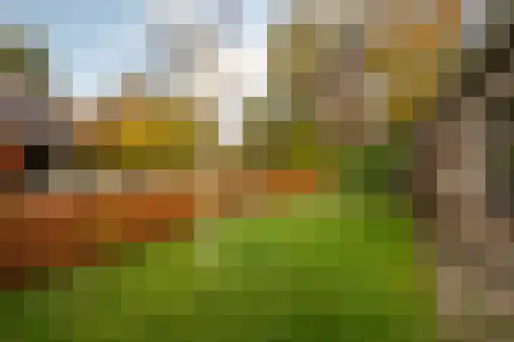 Bosland 3 Haren Gn thumbnail 10