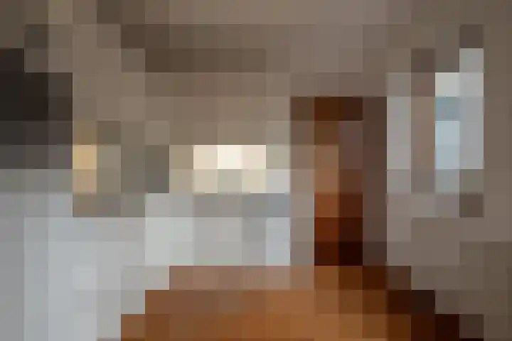 Bosland 3 Haren Gn thumbnail 22