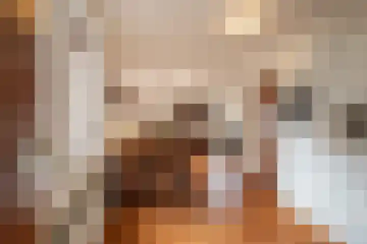 Bosland 3 Haren Gn thumbnail 24