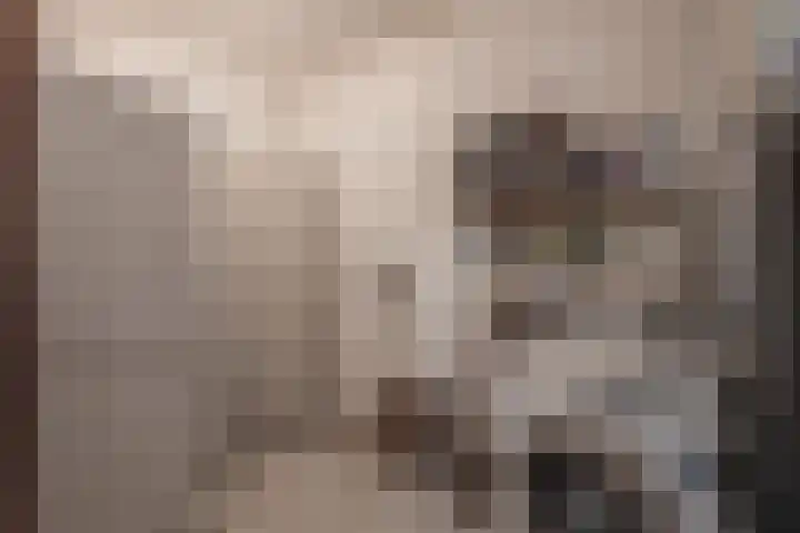 Bosland 3 Haren Gn thumbnail 25