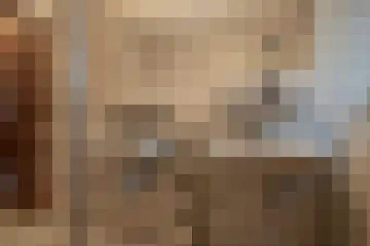 Bosland 3 Haren Gn thumbnail 30