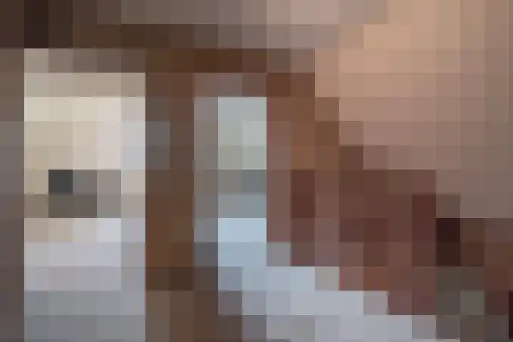 Bosland 3 Haren Gn thumbnail 36