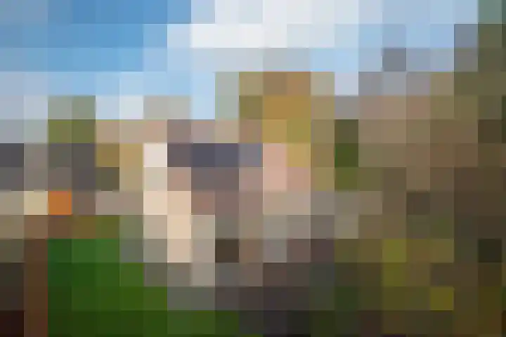 Bosland 3 Haren Gn thumbnail 39