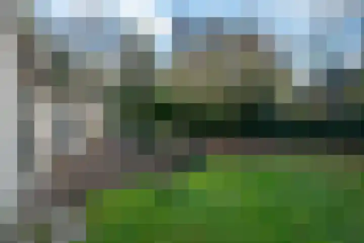 Bosland 3 Haren Gn thumbnail 40