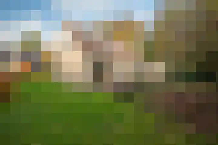 Bosland 3 Haren Gn thumbnail 41