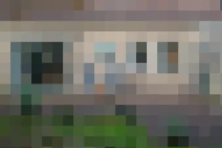 Bosland 3 Haren Gn thumbnail 43