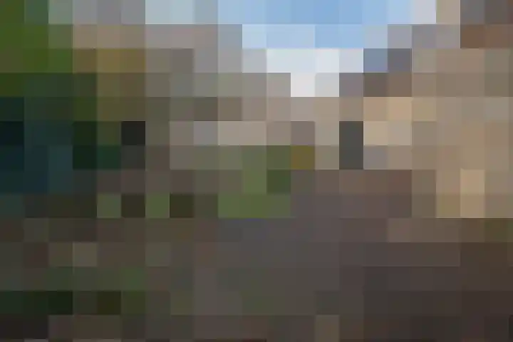Bosland 3 Haren Gn thumbnail 44