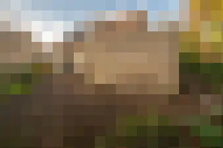 Bosland 3 Haren Gn thumbnail 45