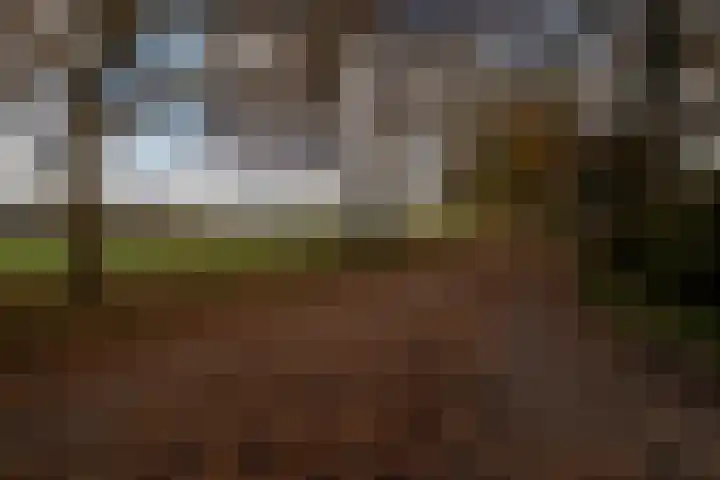 Bosland 3 Haren Gn thumbnail 46
