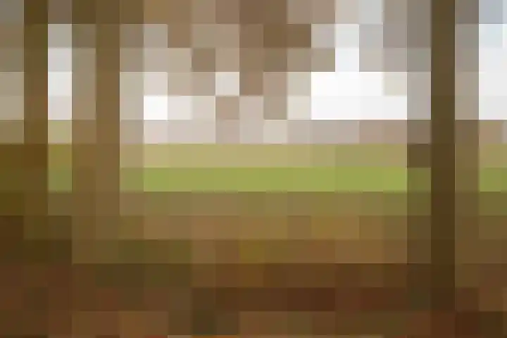 Bosland 3 Haren Gn thumbnail 47