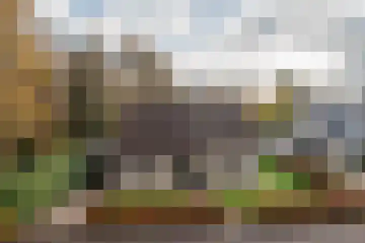 Bosland 3 Haren Gn thumbnail 6