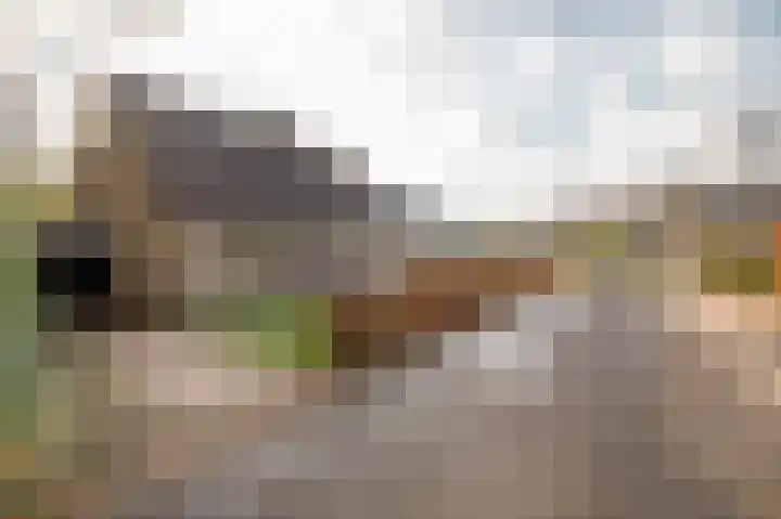 Bosland 3 Haren Gn thumbnail 8