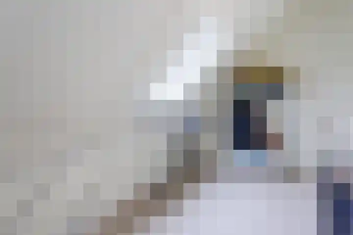 Bosland 4 Bunschoten-Spakenburg thumbnail 26