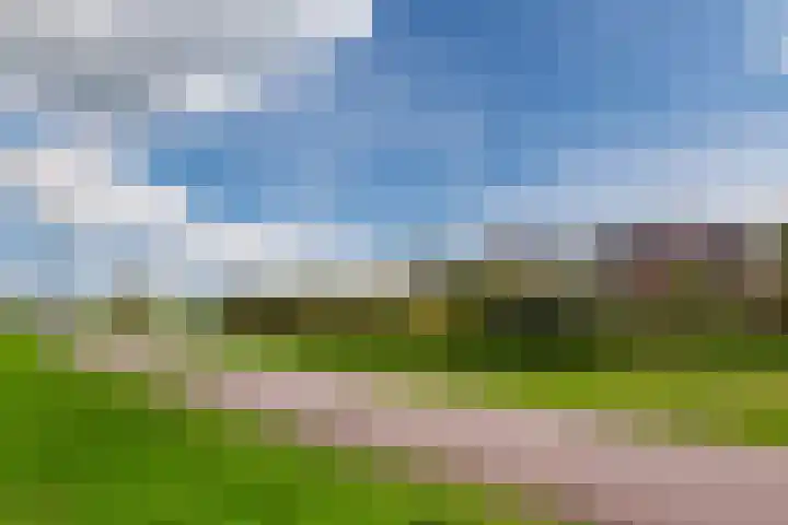 Bosland 4 Bunschoten-Spakenburg thumbnail 28