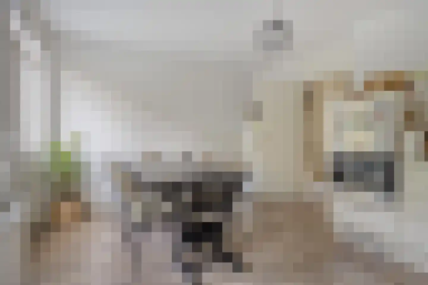 Boslandwerf 13 Rotterdam thumbnail 11