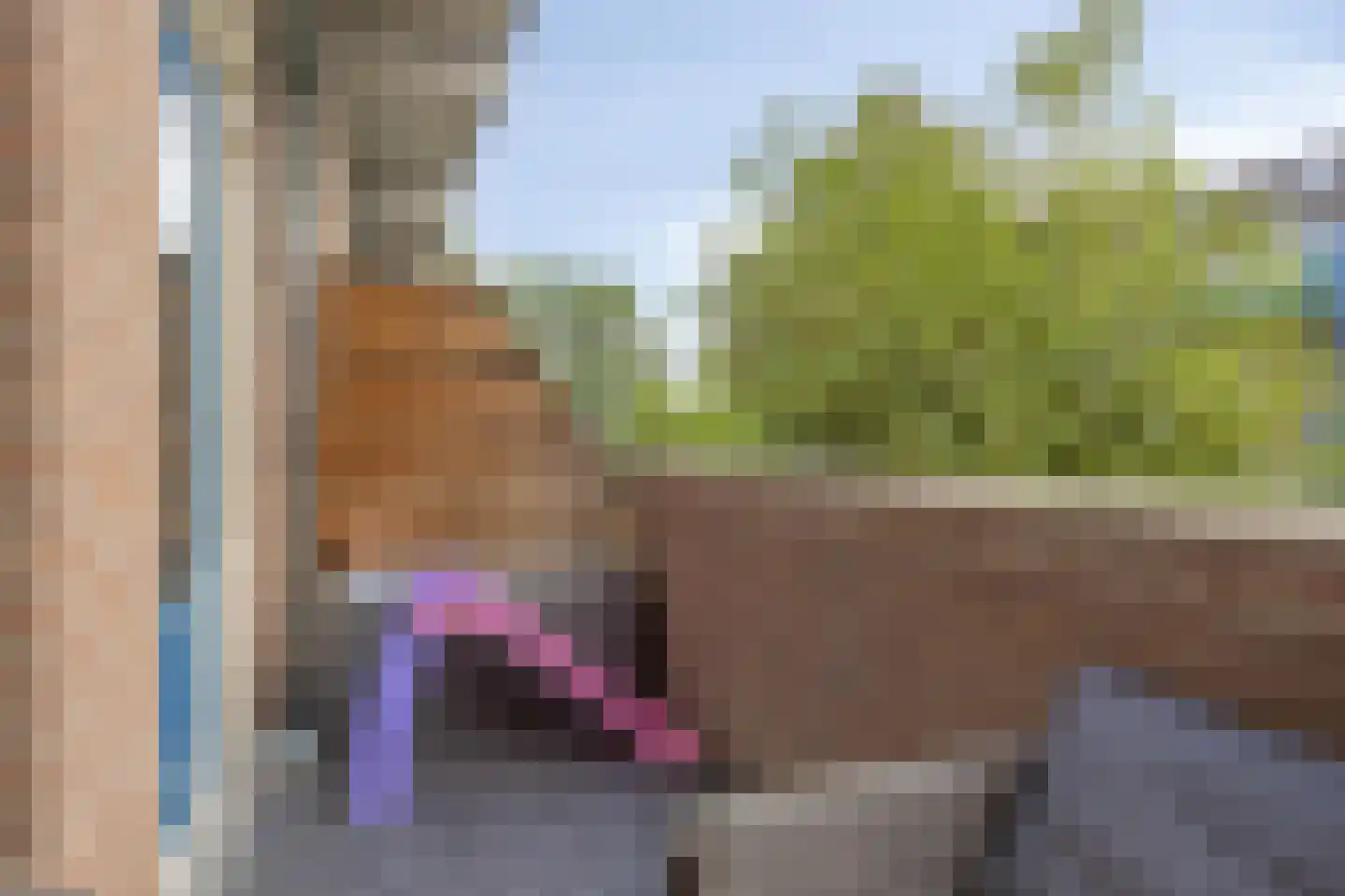 Boslandwerf 13 Rotterdam thumbnail 14