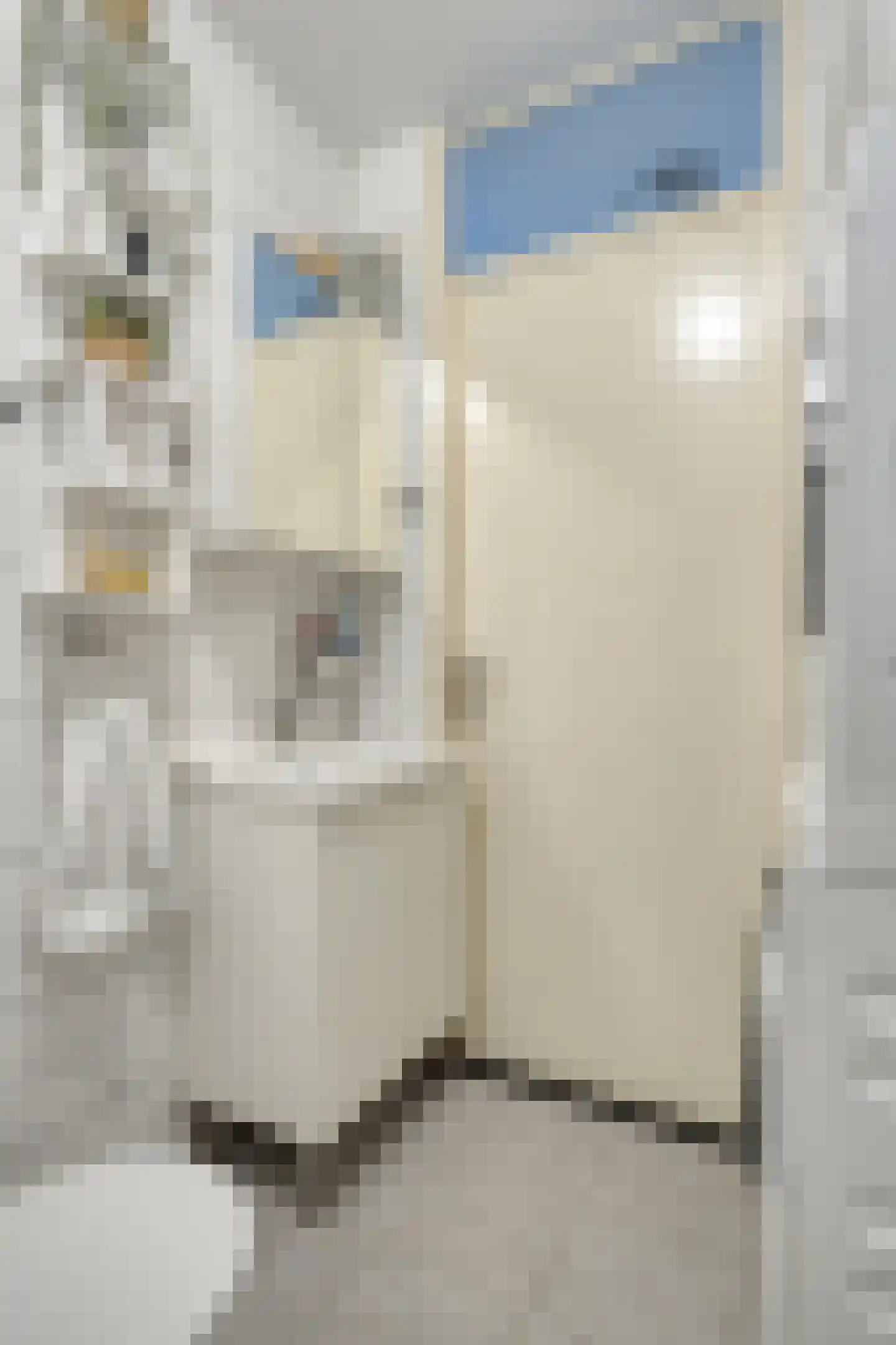 Boslandwerf 13 Rotterdam thumbnail 20