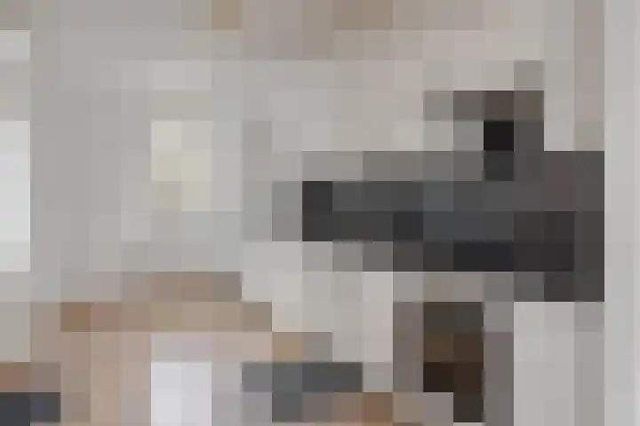 Boslandwerf 15 Rotterdam thumbnail 17