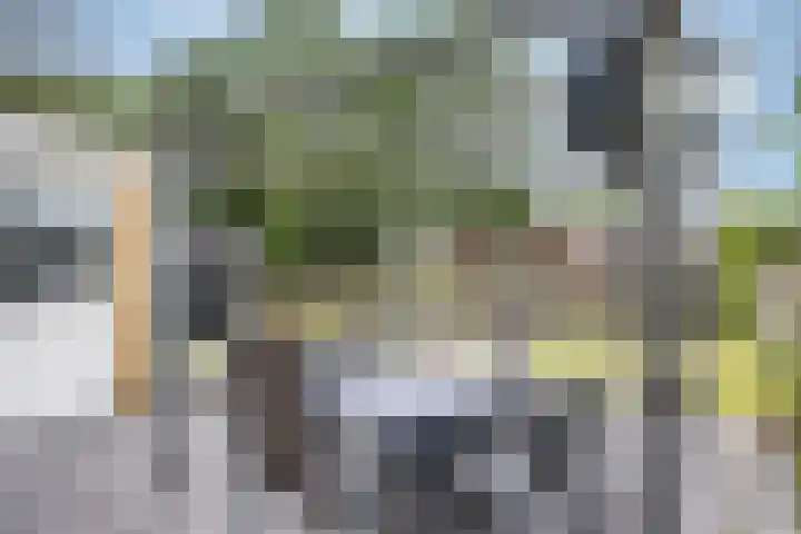 Boslandwerf 15 Rotterdam thumbnail 29