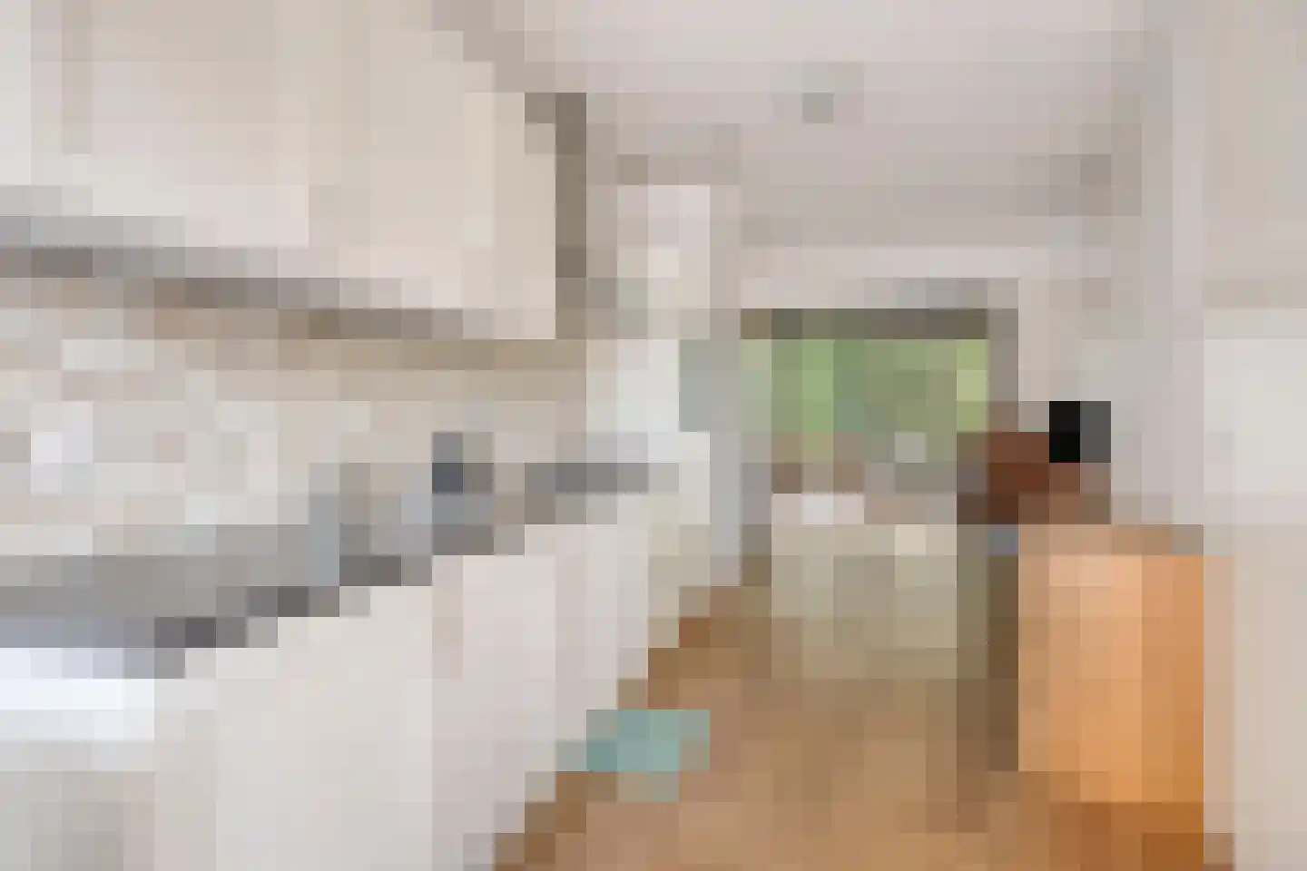 Bosleeuwerik 14 Eindhoven thumbnail 14