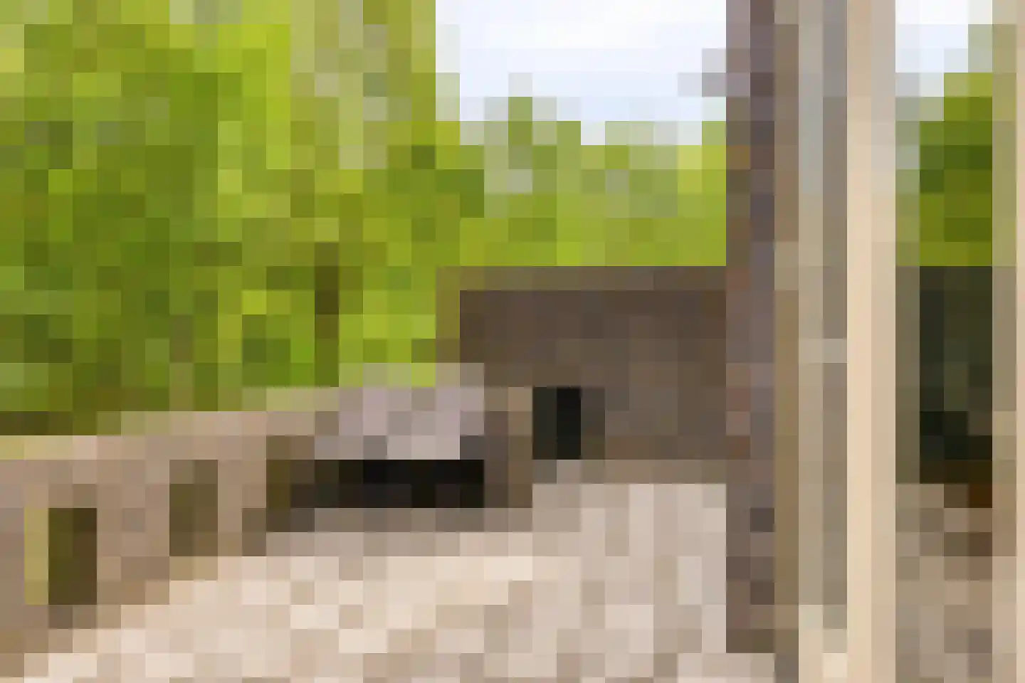 Bosleeuwerik 14 Eindhoven thumbnail 16