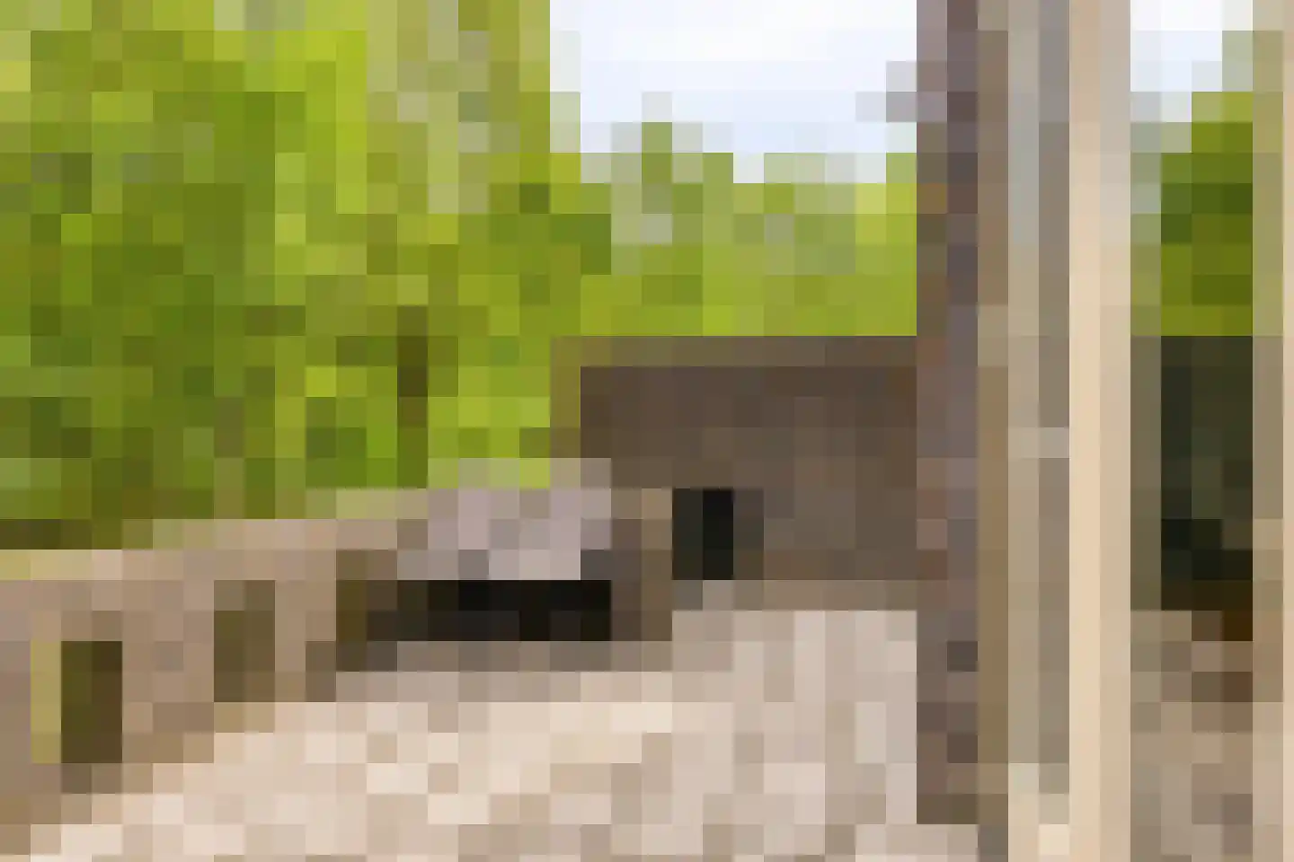 Bosleeuwerik 14 Eindhoven thumbnail 17