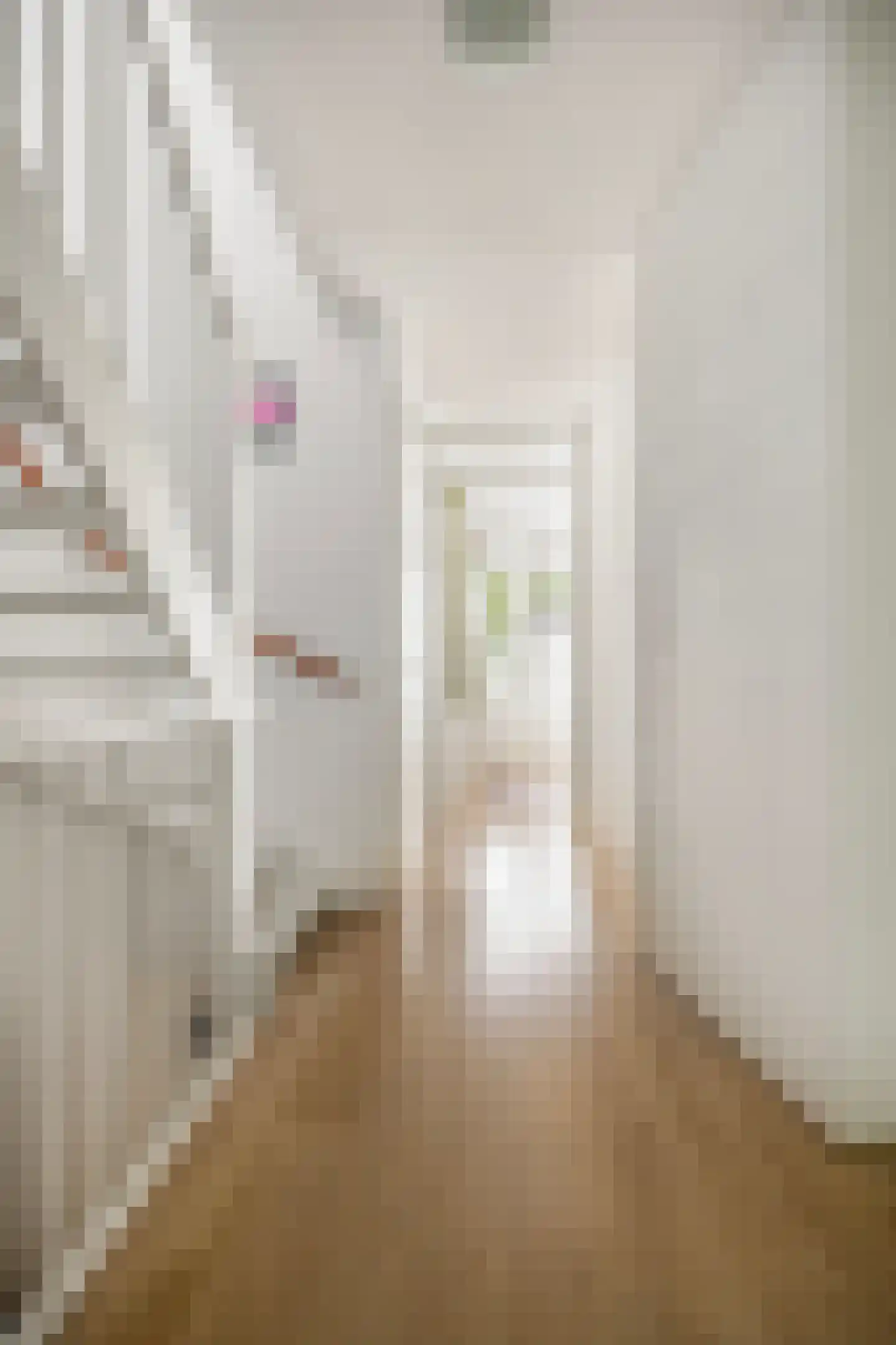 Bosleeuwerik 14 Eindhoven thumbnail 18