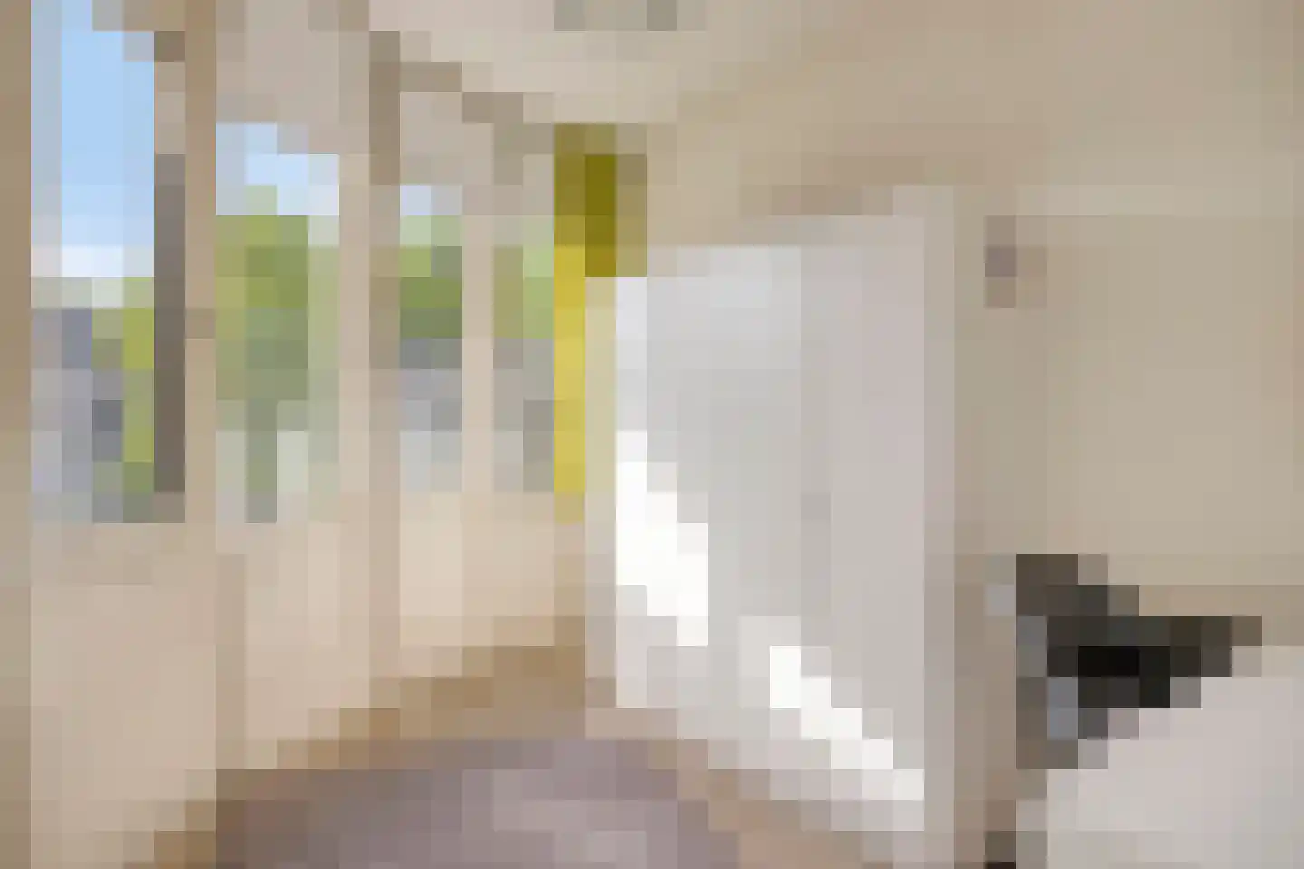 Bosleeuwerik 14 Eindhoven thumbnail 27