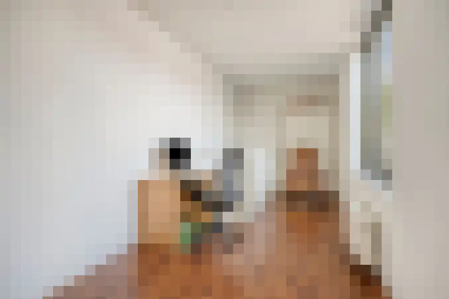 Bosleeuwerik 14 Eindhoven thumbnail 29