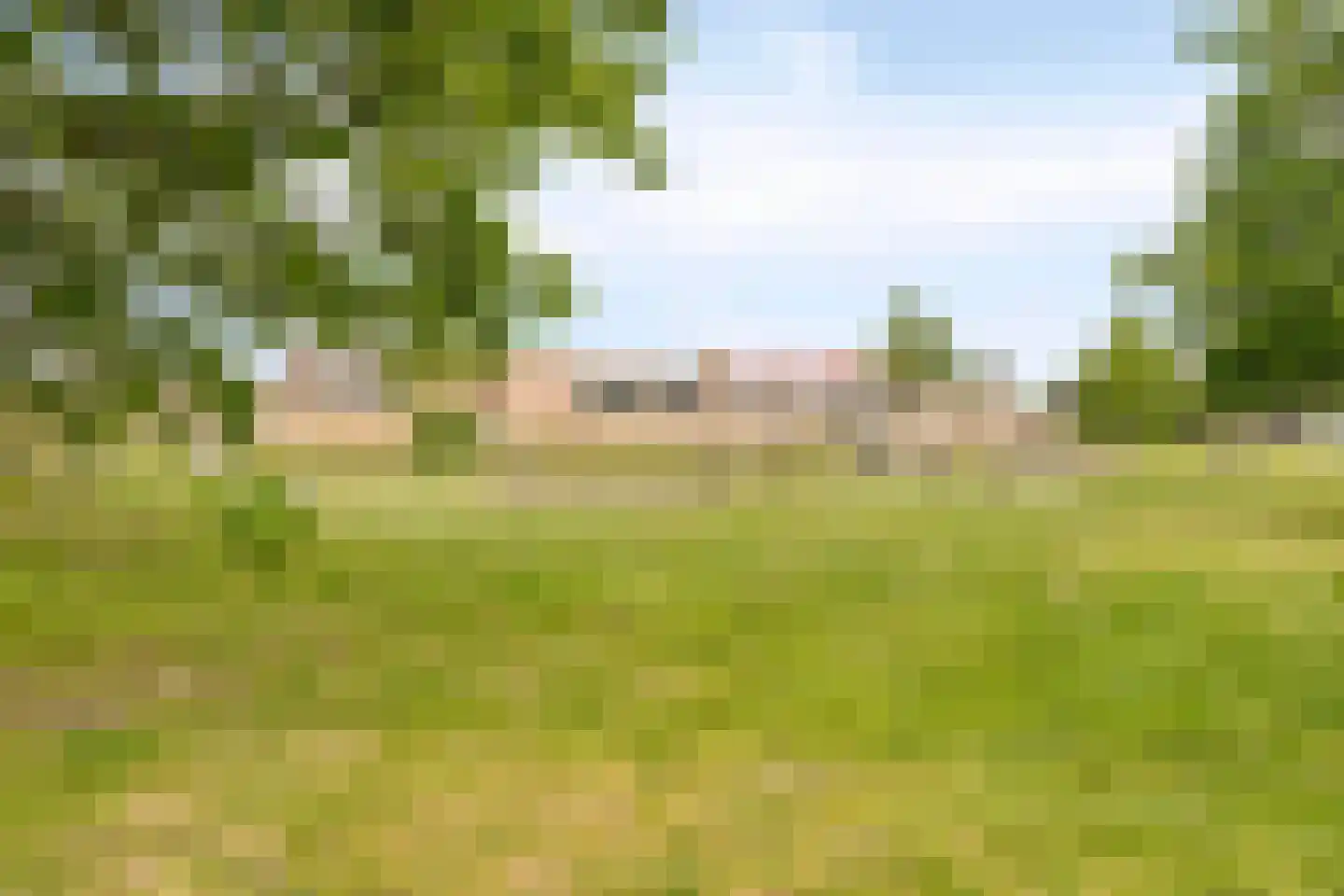 Bosleeuwerik 14 Eindhoven thumbnail 33
