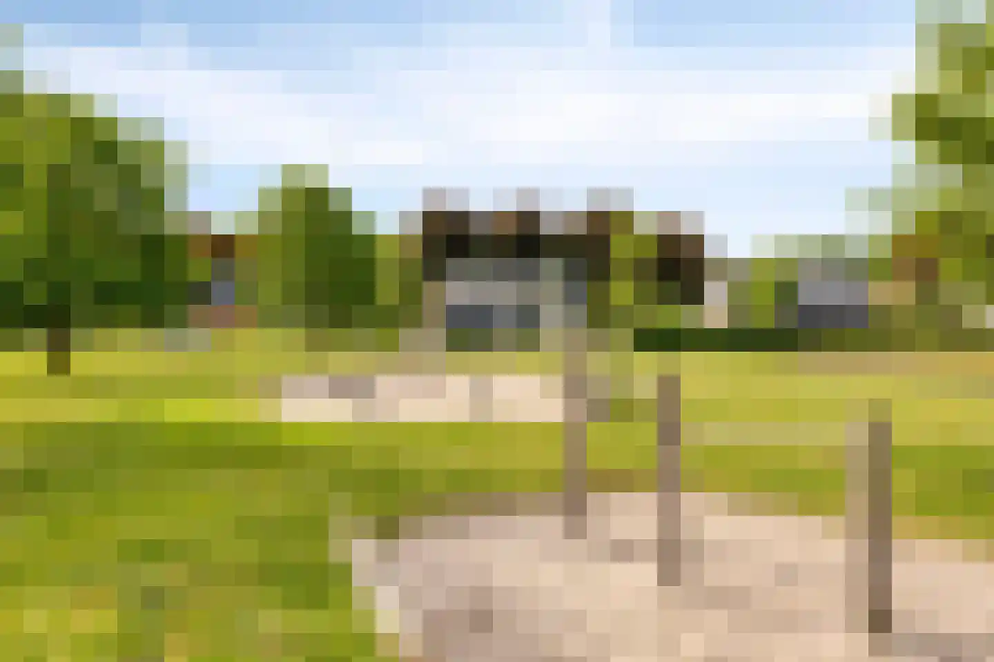 Bosleeuwerik 14 Eindhoven thumbnail 34