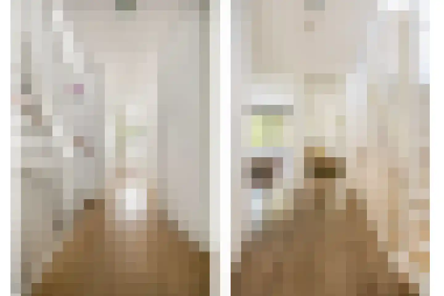 Bosleeuwerik 14 Eindhoven thumbnail 35