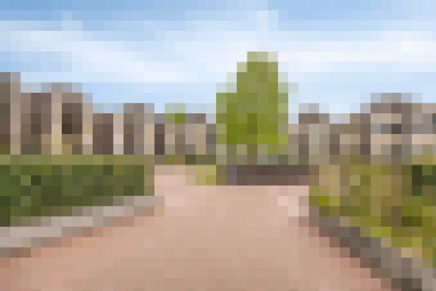 Bosleeuwerik 14 Eindhoven thumbnail 4
