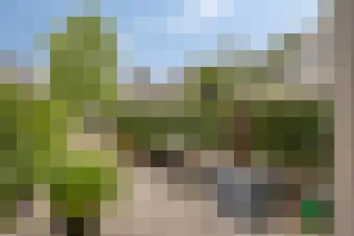 Bosleeuwerik 2 Eindhoven thumbnail 12