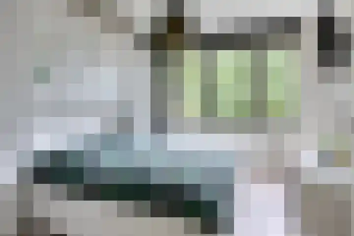 Bosleeuwerik 2 Eindhoven thumbnail 26