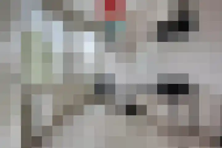 Bosleeuwerik 2 Eindhoven thumbnail 31