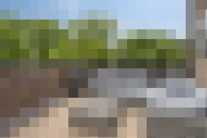 Bosleeuwerik 2 Eindhoven thumbnail 37