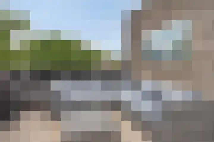 Bosleeuwerik 2 Eindhoven thumbnail 38