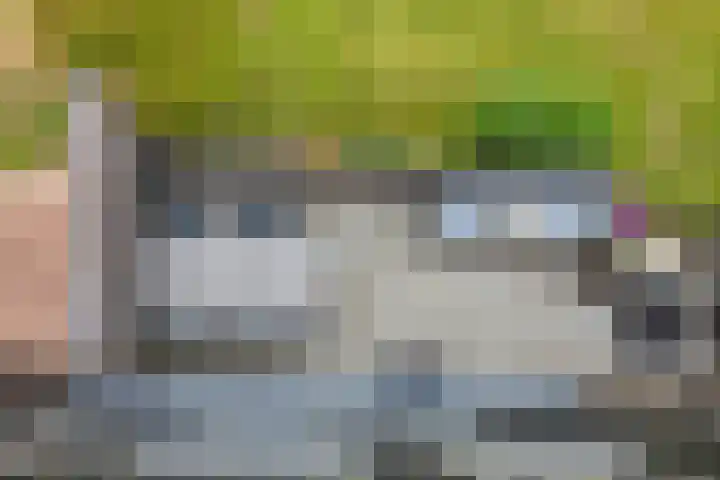 Bosleeuwerik 2 Eindhoven thumbnail 41
