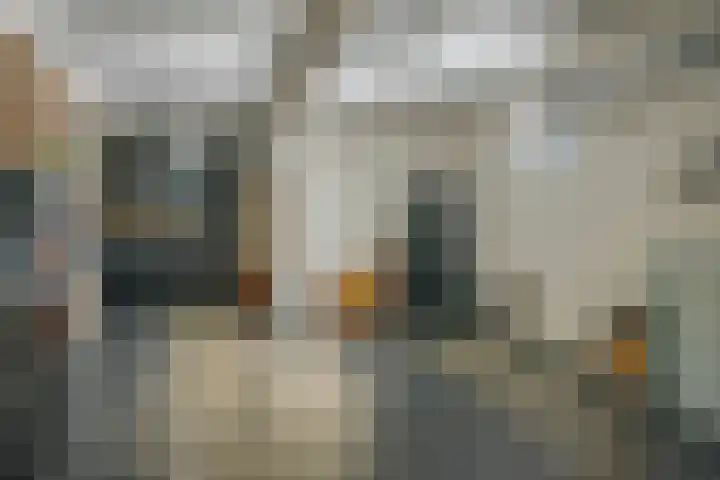Bosleeuwerik 2 Eindhoven thumbnail 44