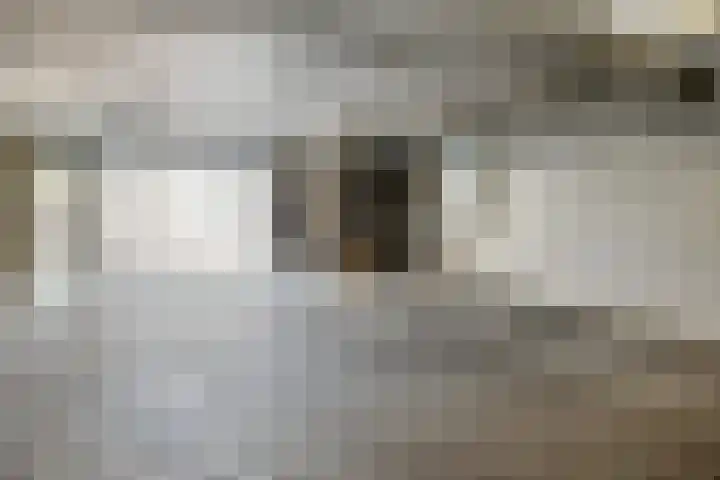 Bosleeuwerik 2 Eindhoven thumbnail 46