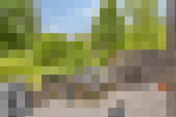 Bosleeuwerik 2 Eindhoven thumbnail 48