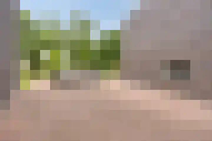 Bosleeuwerik 2 Eindhoven thumbnail 53