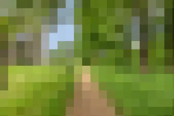 Bosleeuwerik 2 Eindhoven thumbnail 56