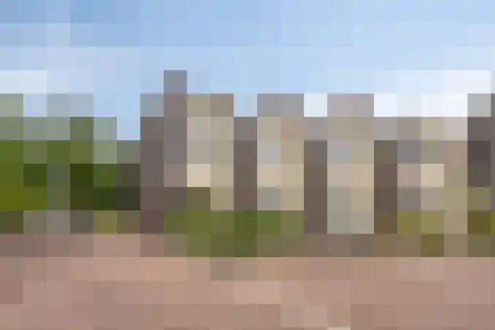 Bosleeuwerik 2 Eindhoven thumbnail 7