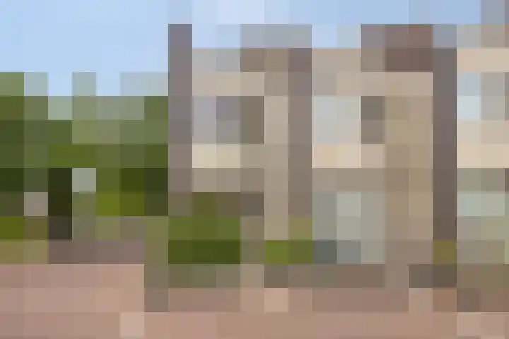 Bosleeuwerik 2 Eindhoven thumbnail 9