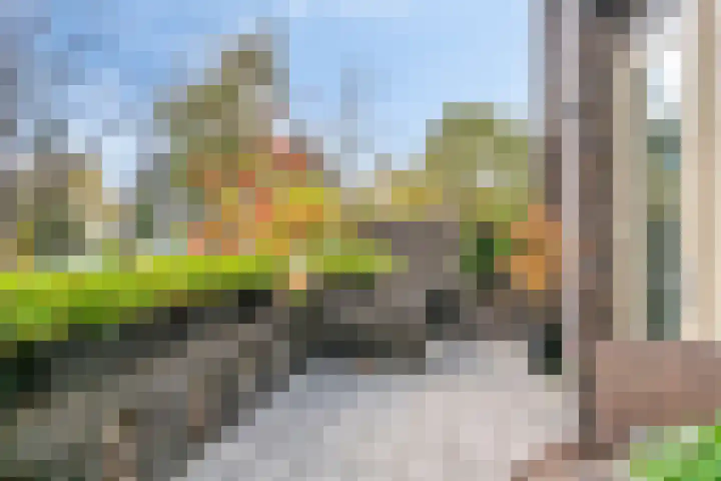 Bosleeuwerik 50 Eindhoven thumbnail 11