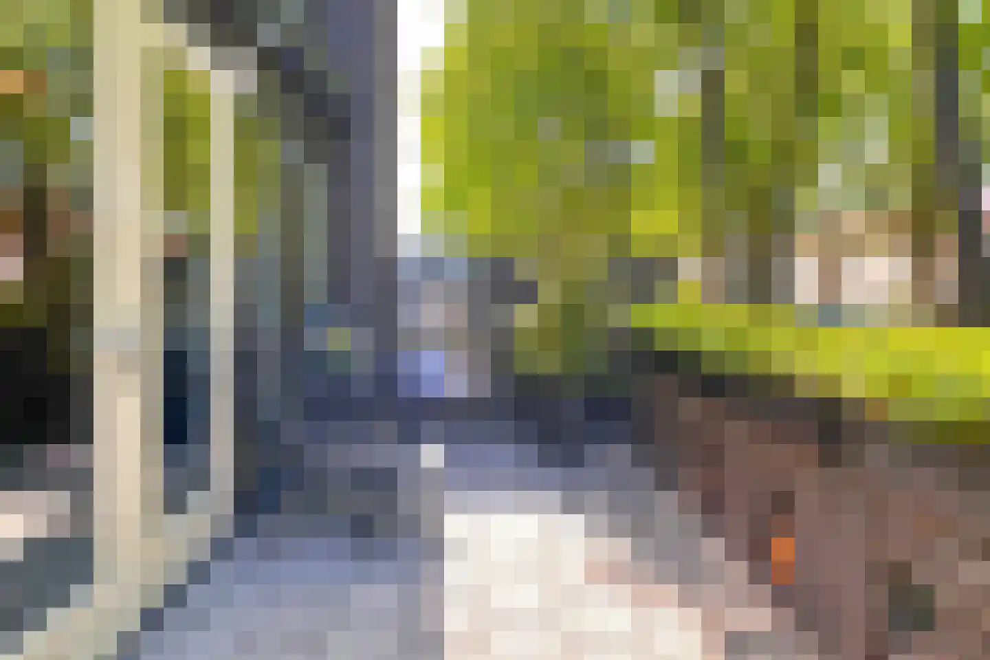 Bosleeuwerik 50 Eindhoven thumbnail 12