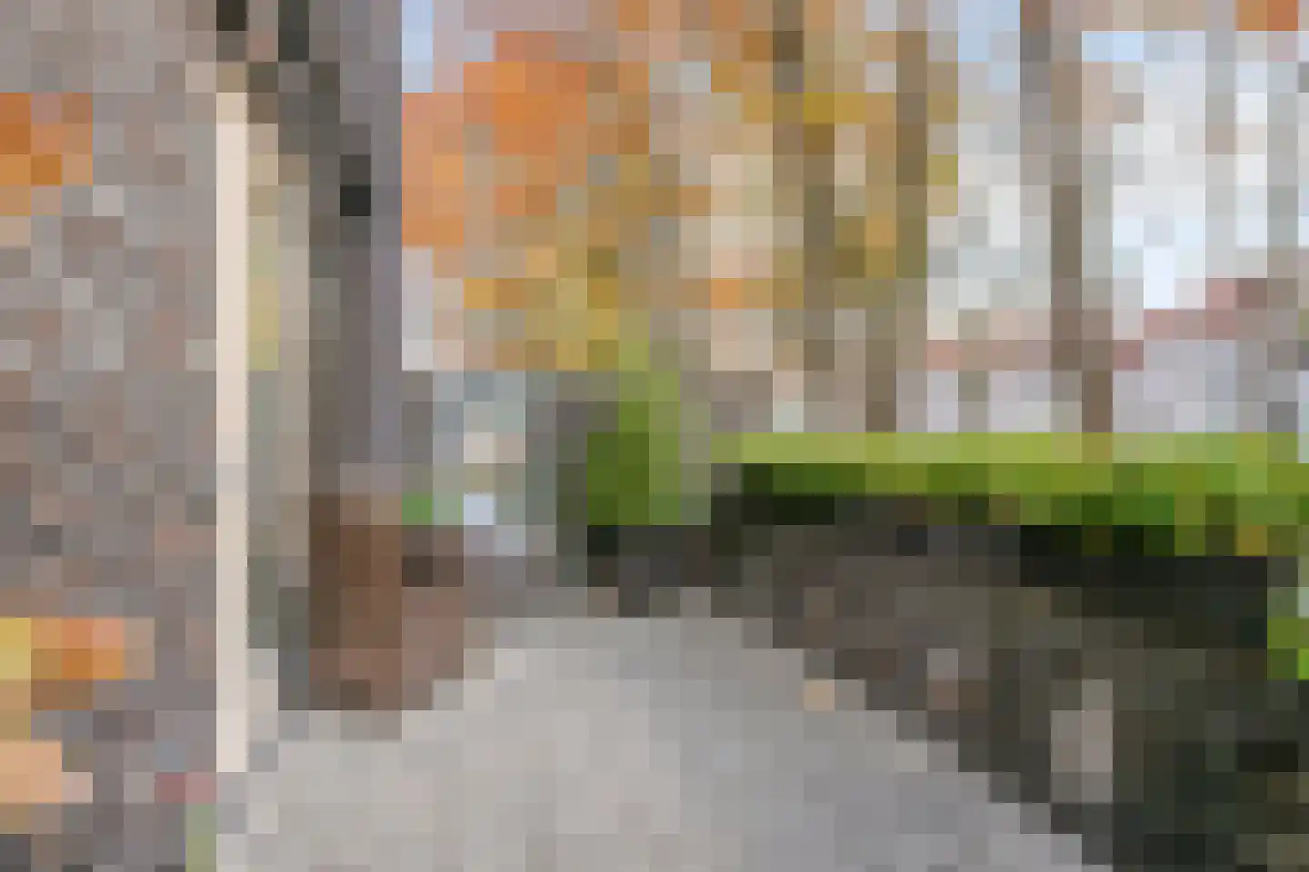 Bosleeuwerik 50 Eindhoven thumbnail 12